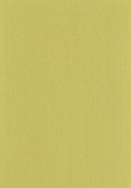 Бумага упаковочная для подарков рулон Stewo Uni Color, 0.7 x 2 м Салатовый - 4
